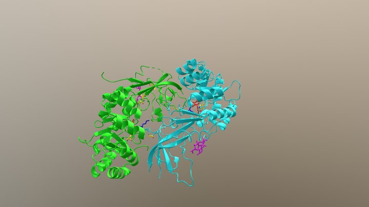 Ornithine decarboxylase with Geneticin 3D Model