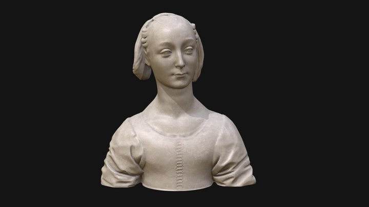 Portrait of a woman ("Marietta Strozzi"). 3D Model