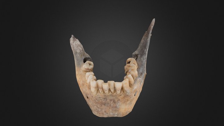 Mandible "Ponferrada Uno" 3D Model