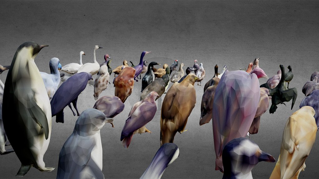 Lowpoly birds