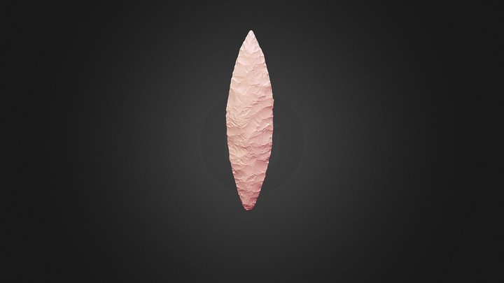 Flint arrowhead 3D Model
