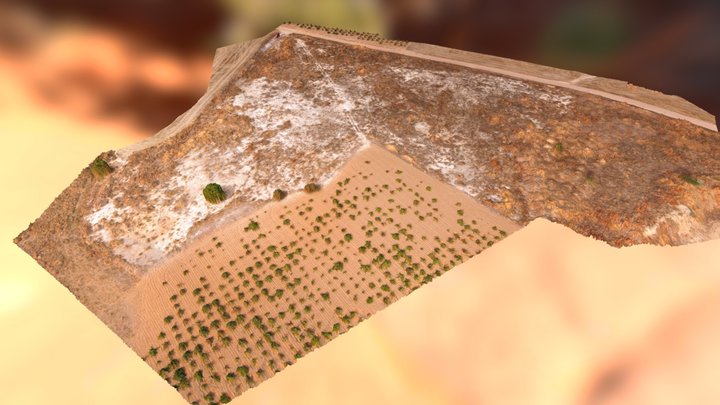 Parcela de Fuensaldaña (Valladolid) 3D Model