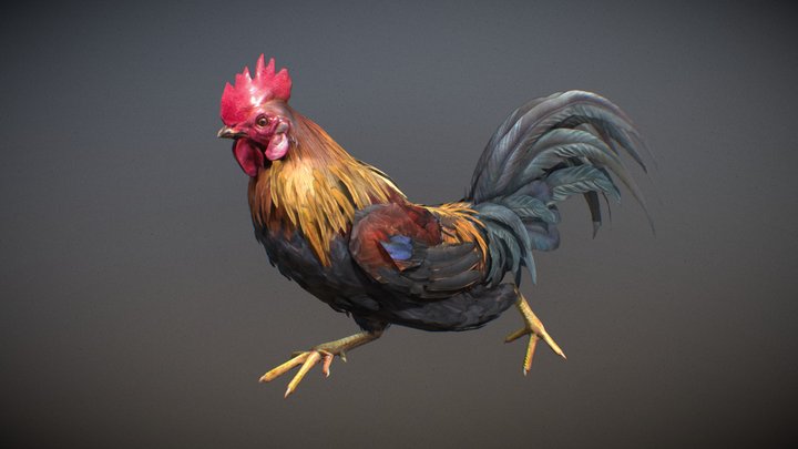 Animalia - Chicken (male) 3D Model