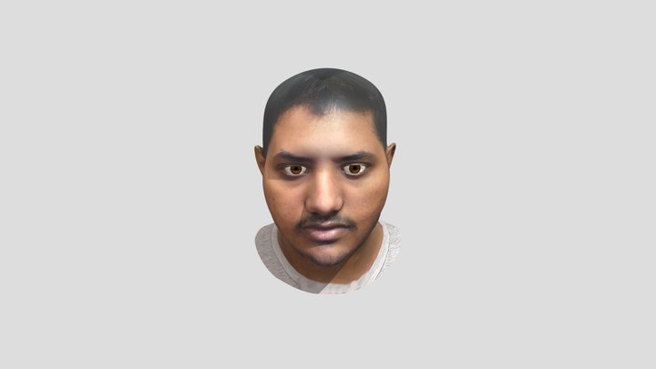Head Module 3D Model