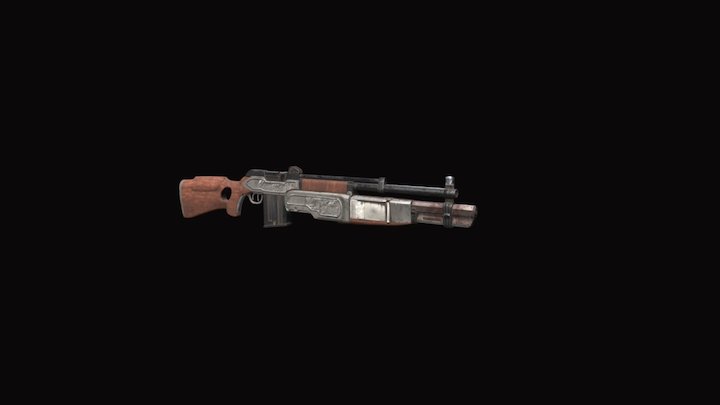Rifle the order 3D Model