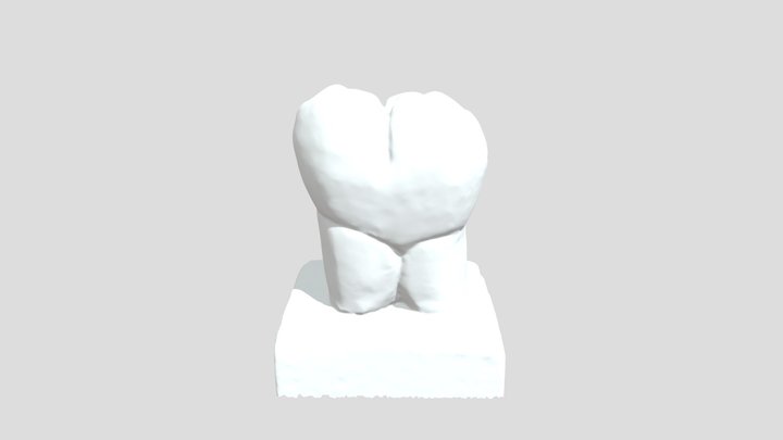 3rd_46 3D Model