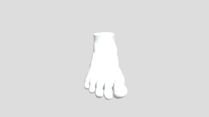 Foot 3D Model