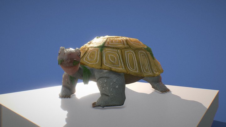 Skills canada 2022 Tortoise Nova Scotia 3D Model