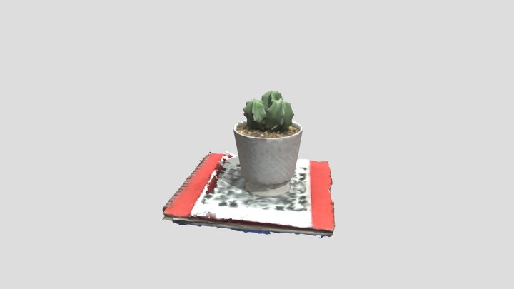Photogrammetry Workshop outcome - succulent 3D Model