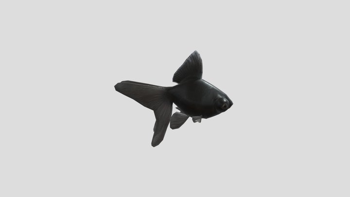 Goldfish-Demekin 3D Model