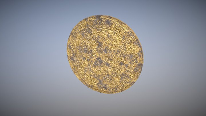 Coin Pirate 3D Model