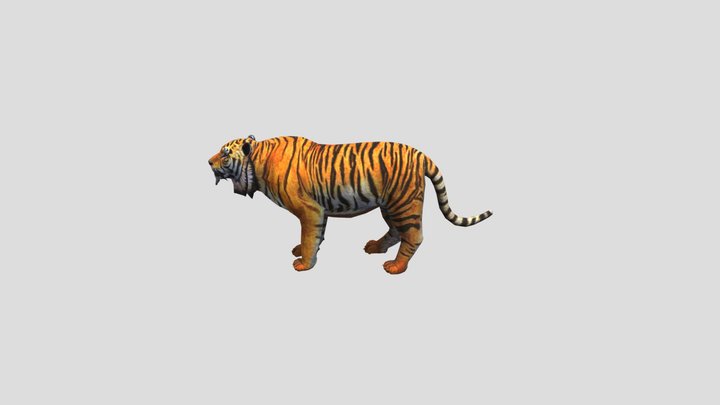 Tiger_v4_026 3D Model