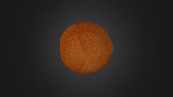 Orange 3D Model