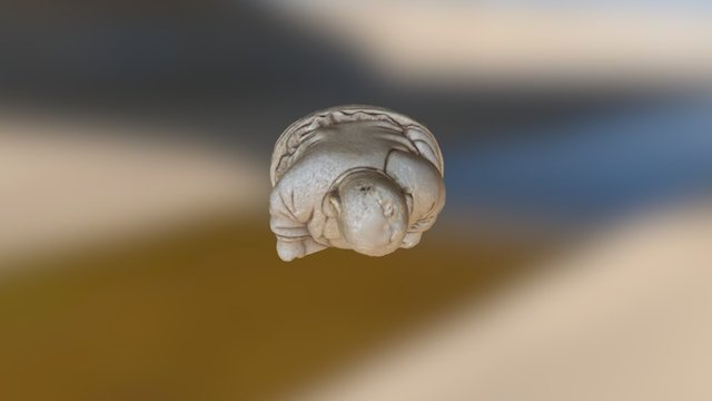 Buda 3D Model