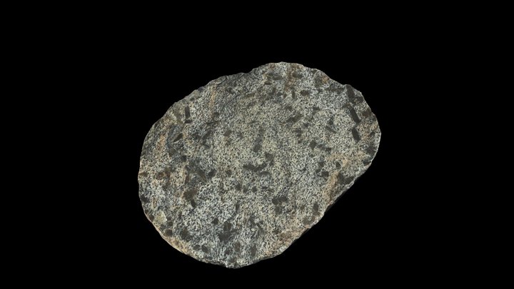 21334 3D Model
