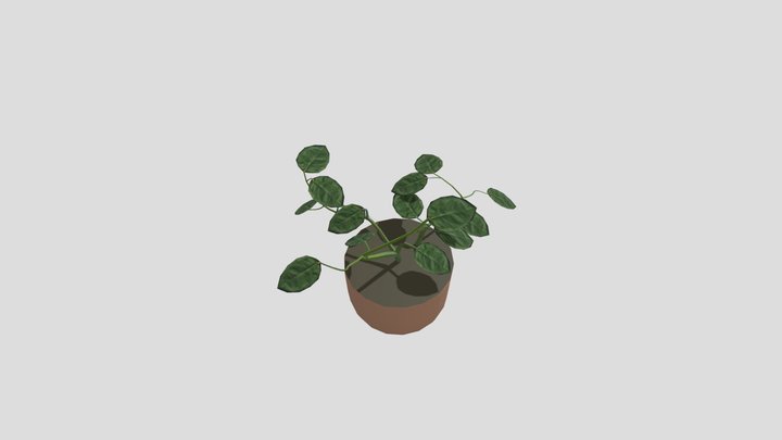 Plant 3D Model