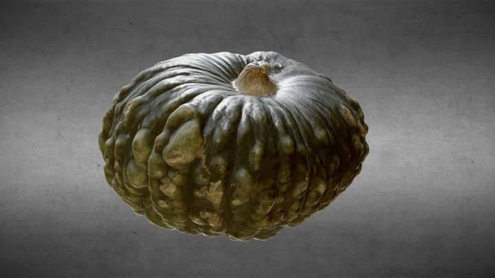 Pumpkin scanned 3D Model