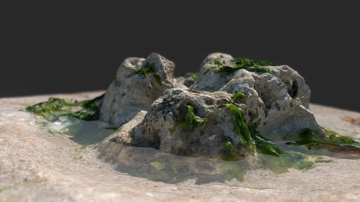 Photogrammetry - Rock 01 3D Model