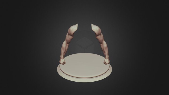 Hands - 3D Model - Anatomy 3D Model