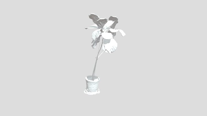luma-plant 3D Model