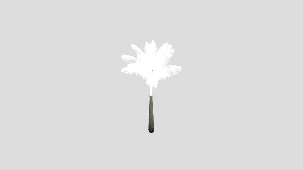 Imperial Palm Tree Animated