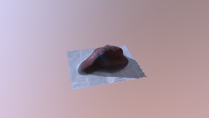 Higado 3D Model