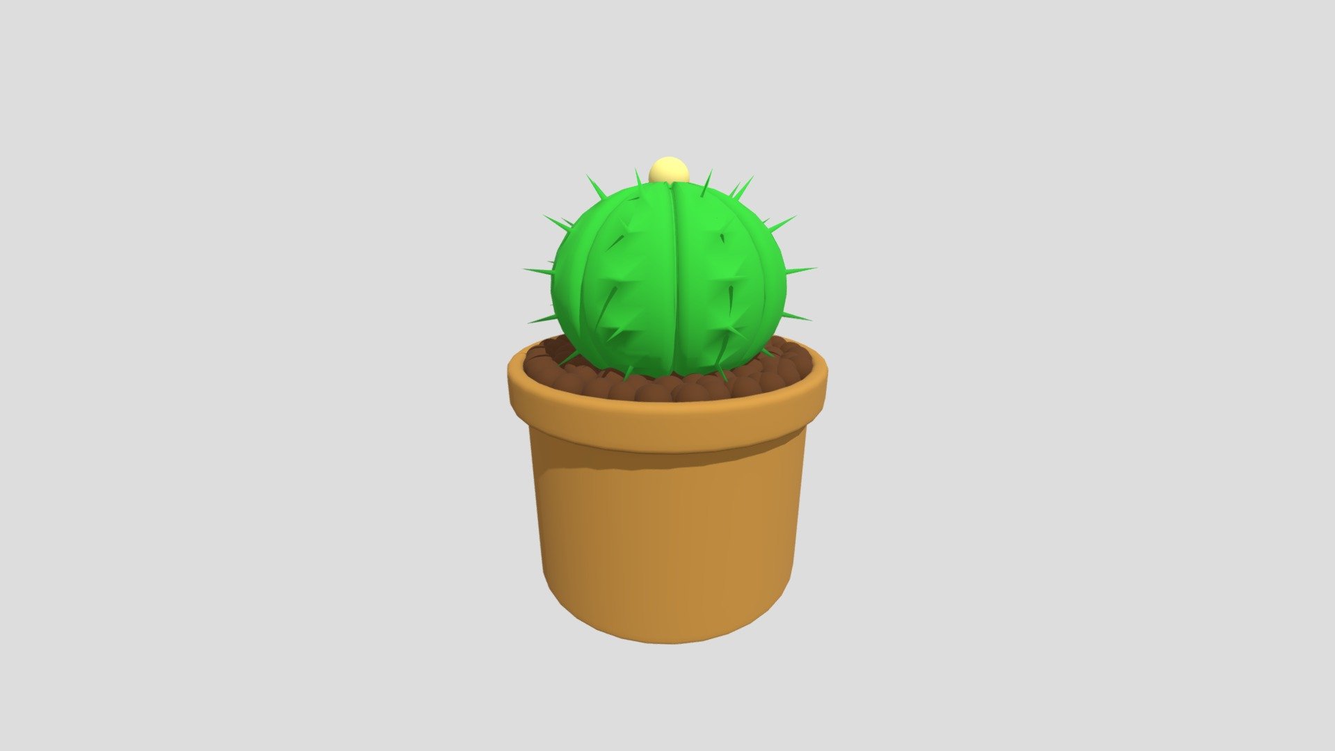 Pot plant