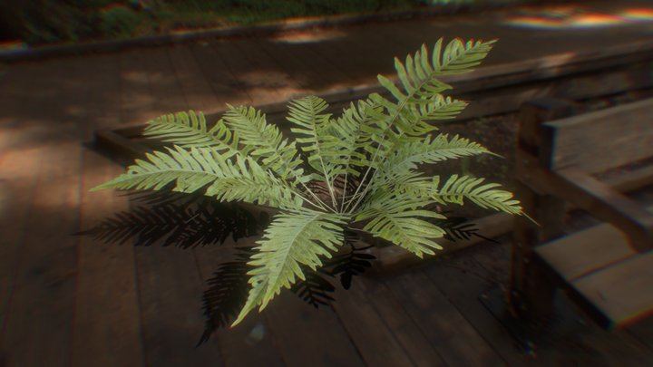 Plant Bush 3D Model