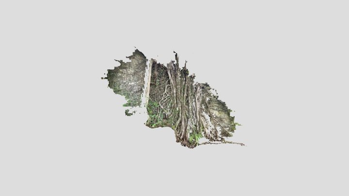 Untitled Scan 3D Model