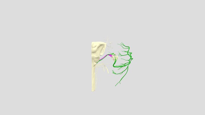 Question 1 3D Model