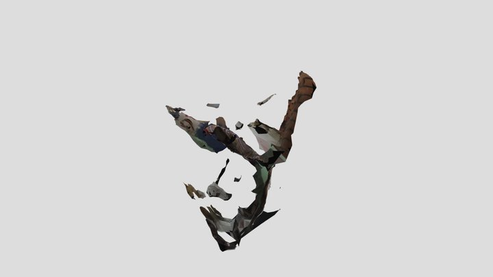 texturedMesh 3D Model