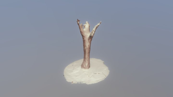 Tree model by iPad Pro 2020 3D Model