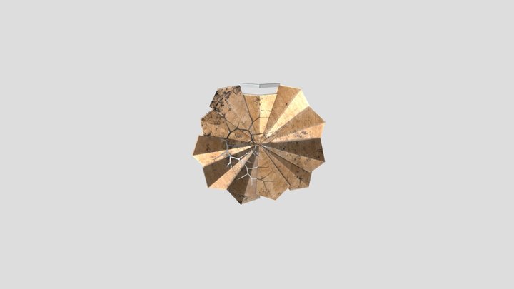 Wooden Shield 3D Model
