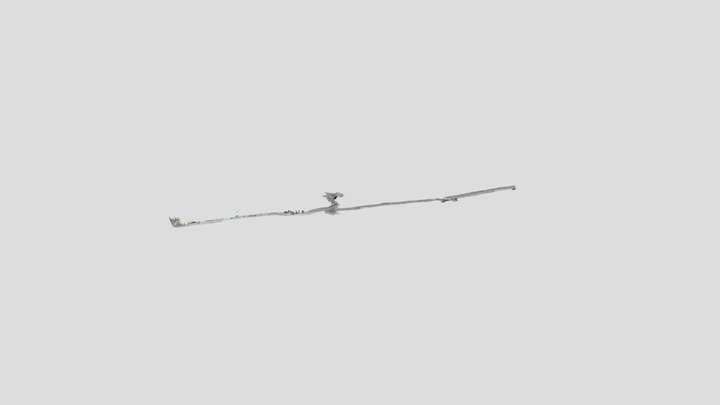 Untitled Scan 3D Model