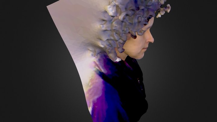 Digitalização de uma pessoa 3D Model