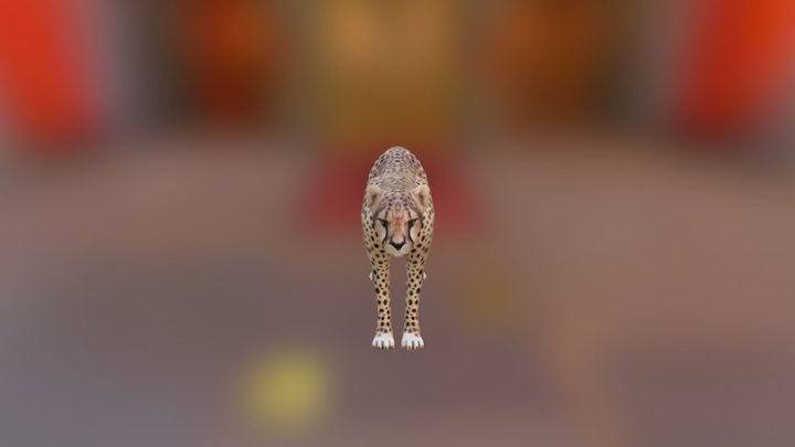 Cheetah Low Poly 3D Model
