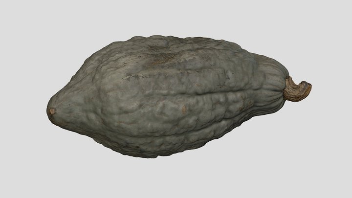 Hubbard Squash Artec Spider 3D Scan 3D Model