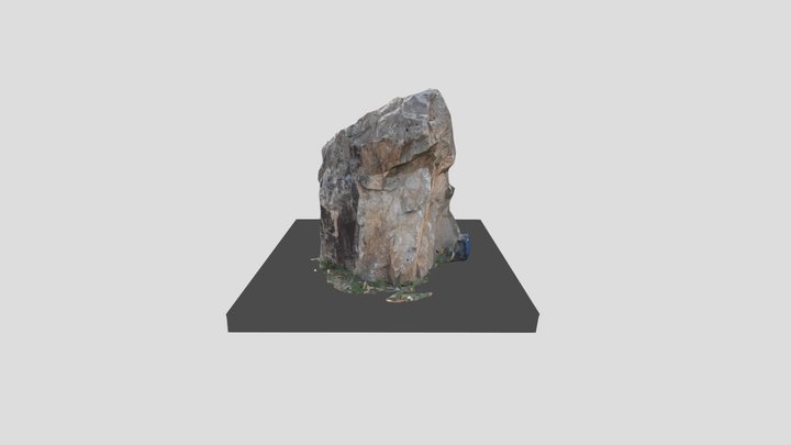 Rock from gardens by the bay (singapore) 3D Model