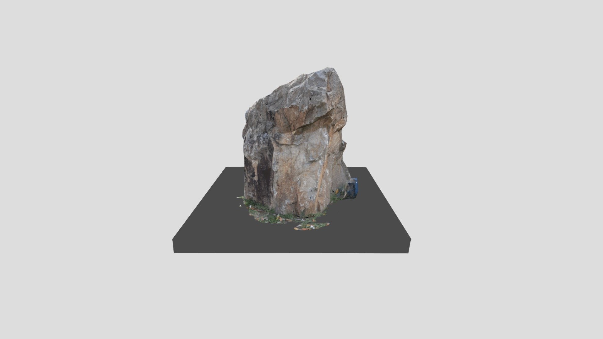 Rock from gardens by the bay (singapore)