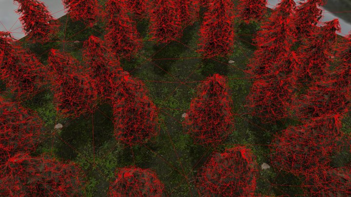 pine-forest 3D Model