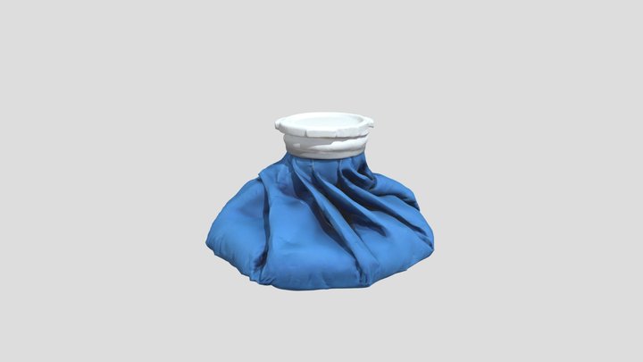 Ice Pack 3D Model