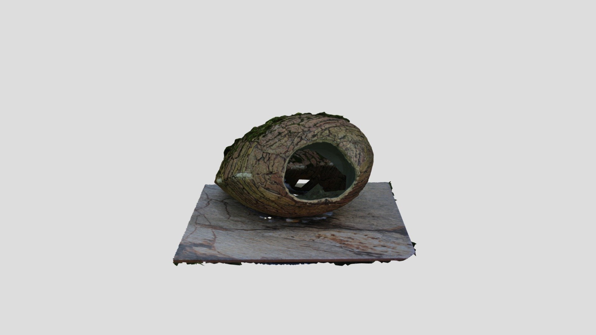 Old Broken Mossy Pot