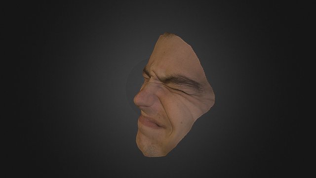 Scrunched Face 3D Model