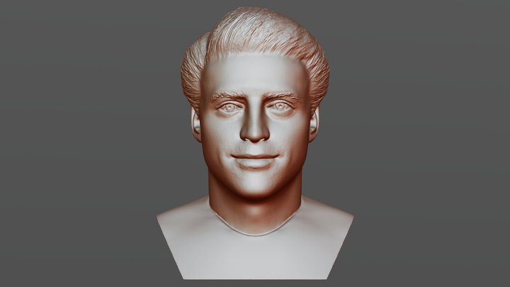 Joey Tribbiani bust for 3D printing 3D Model