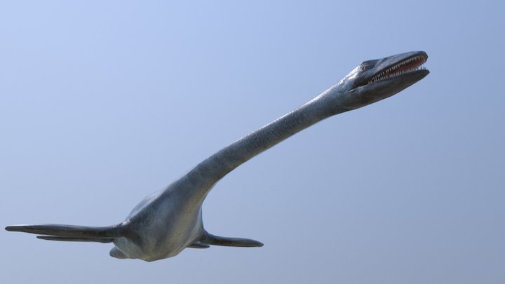 Elasmosaurus 3D Model