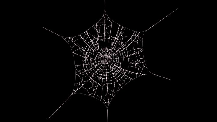 133,332 Spiderweb Images, Stock Photos, 3D objects, & Vectors