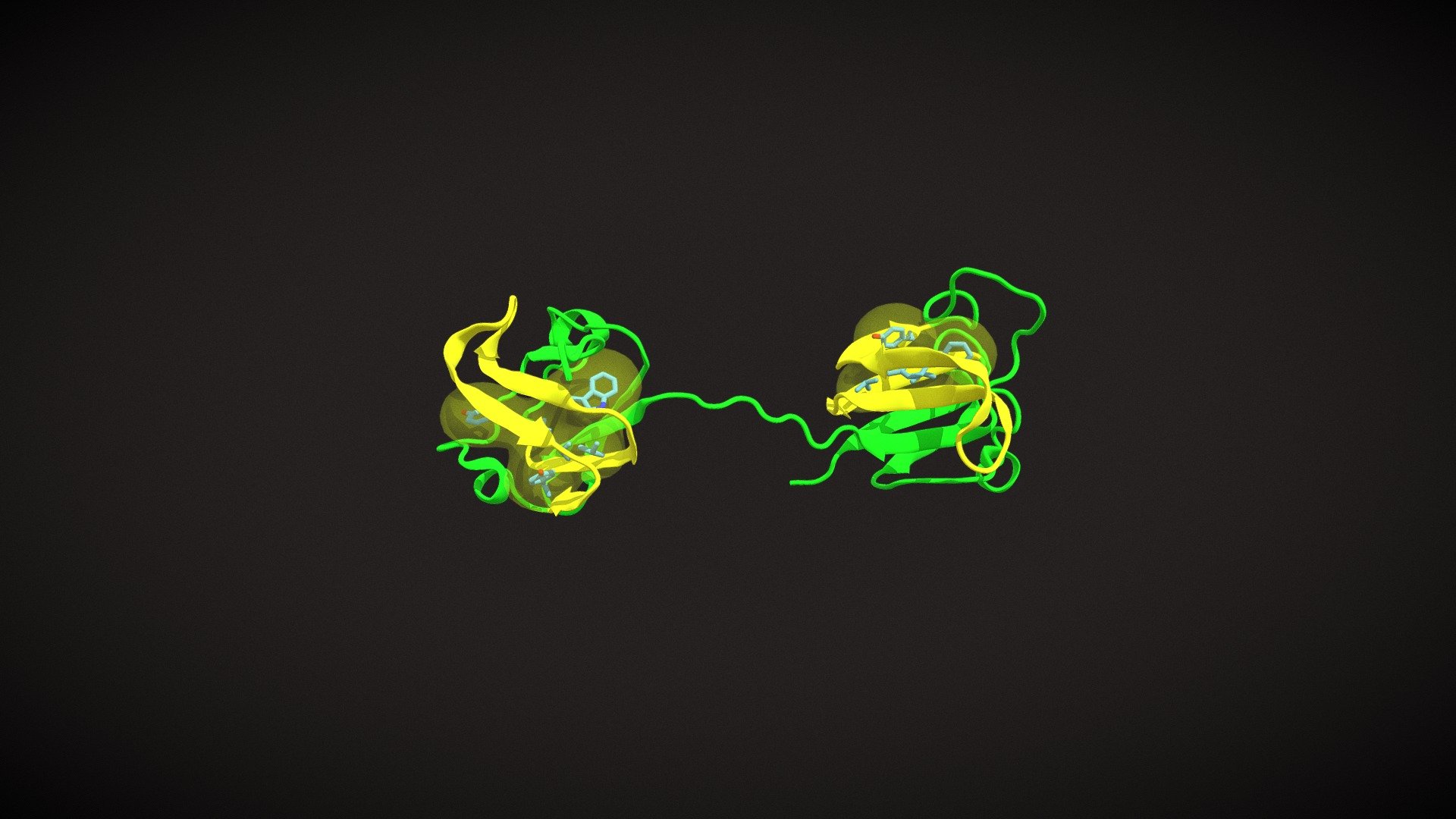 Gamma-crystallin