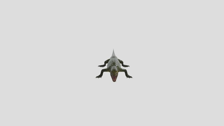 Monitor Lizard 3D Model