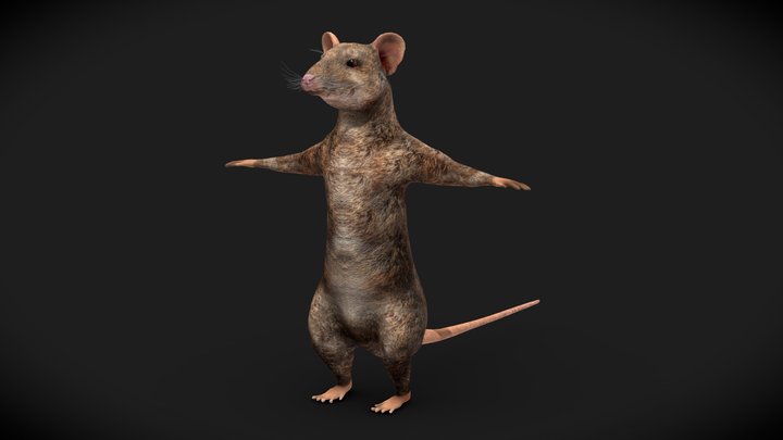 Fantasy Rat Character - Rigged 3D Model