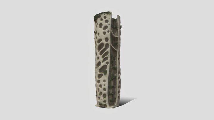 Organic Perforated Tower 3d Model 3D Model